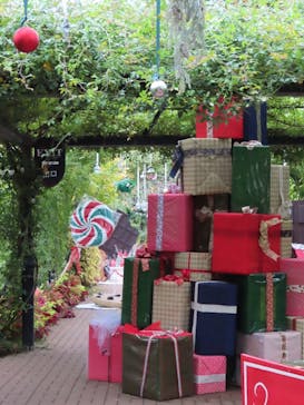 横浜イングリッシュガーデンに投稿された画像（2024/11/15）