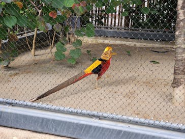 恩賜上野動物園に投稿された画像（2024/11/15）