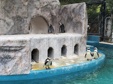 恩賜上野動物園に投稿された画像（2024/11/15）