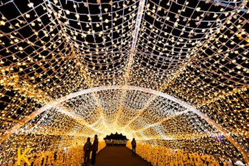 東京メガイルミに投稿された画像（2024/11/14）