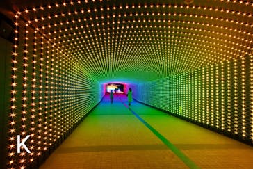 東京メガイルミに投稿された画像（2024/11/14）