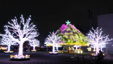東京メガイルミに投稿された画像（2024/11/14）