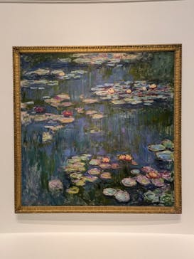 モネ 睡蓮のとき（国立西洋美術館）に投稿された画像（2024/11/15）