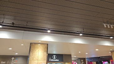 RED° 東京タワーに投稿された画像（2024/11/15）