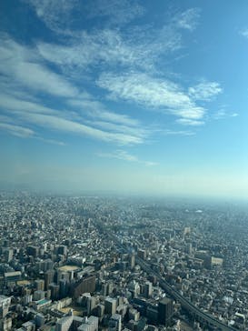 ハルカス300(展望台)に投稿された画像（2024/11/15）