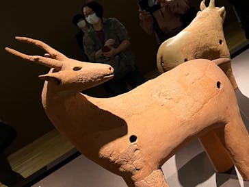 挂甲の武人 国宝指定50周年記念 特別展「はにわ」@東京国立博物館 平成館に投稿された画像（2024/11/15）