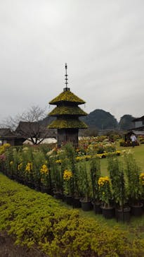 仙巌園に投稿された画像（2024/11/15）