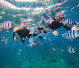 武藤潜水に投稿された画像（2024/11/15）