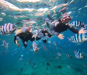 武藤潜水に投稿された画像（2024/11/15）