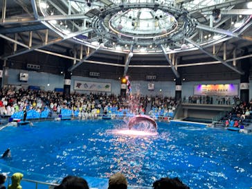 マクセル アクアパーク品川に投稿された画像（2024/11/15）