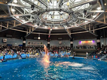 マクセル アクアパーク品川に投稿された画像（2024/11/15）