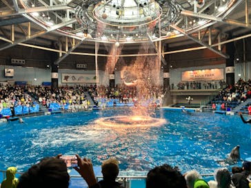 マクセル アクアパーク品川に投稿された画像（2024/11/15）