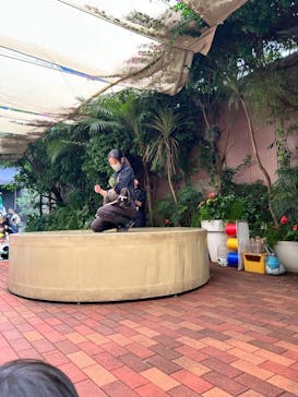 マクセル アクアパーク品川に投稿された画像（2024/11/15）