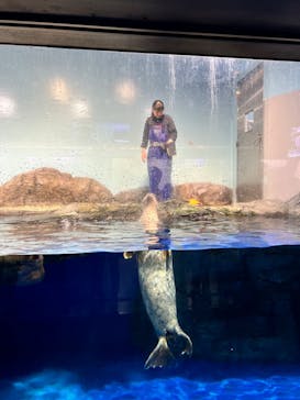 マクセル アクアパーク品川に投稿された画像（2024/11/15）