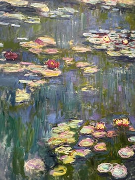 モネ 睡蓮のとき（国立西洋美術館）に投稿された画像（2024/11/15）
