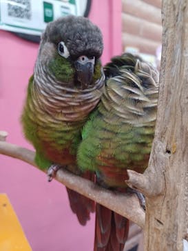 いきもの探検隊上尾に投稿された画像（2024/11/15）