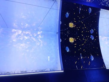 アクアワールド茨城県大洗水族館に投稿された画像（2024/11/15）