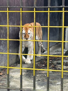 東北サファリパークに投稿された画像（2024/11/15）