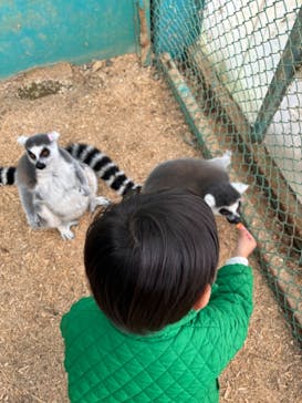 東北サファリパークに投稿された画像（2024/11/15）