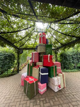 横浜イングリッシュガーデンに投稿された画像（2024/11/15）