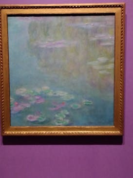 あべのハルカス美術館に投稿された画像（2024/11/15）