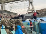 名古屋港水族館に投稿された画像（2024/11/15）