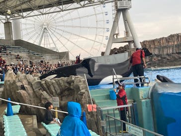 名古屋港水族館に投稿された画像（2024/11/15）