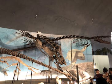 福井県立恐竜博物館に投稿された画像（2024/11/15）