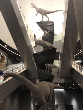 福井県立恐竜博物館に投稿された画像（2024/11/15）