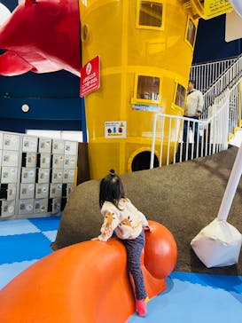 アクアワールド茨城県大洗水族館に投稿された画像（2024/11/15）