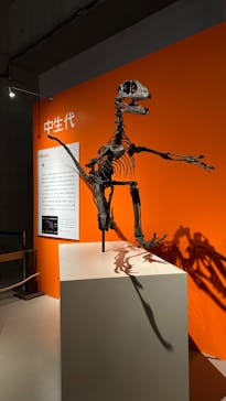 特別展「鳥 ～ゲノム解析が解き明かす新しい鳥類の系統～」国立科学博物館に投稿された画像（2024/11/15）