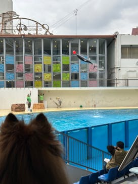 伊豆・三津シーパラダイスに投稿された画像（2024/11/15）