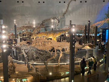 福井県立恐竜博物館に投稿された画像（2024/11/15）