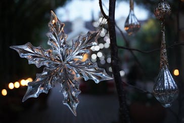 横浜イングリッシュガーデンに投稿された画像（2024/11/15）