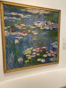 モネ 睡蓮のとき（国立西洋美術館）に投稿された画像（2024/11/15）