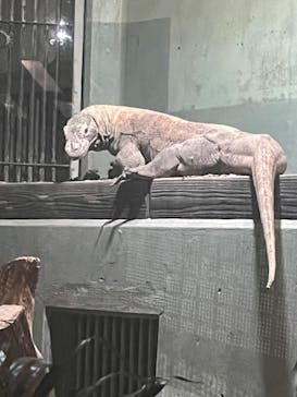 名古屋市東山動植物園に投稿された画像（2024/11/15）