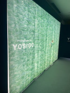 YOSIGO 写真展 Holiday Memories - 旅の瞬間 -に投稿された画像（2024/11/15）