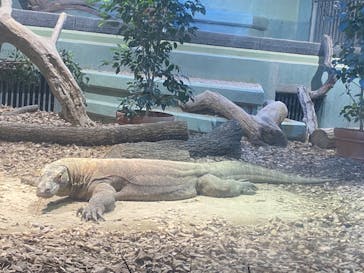 名古屋市東山動植物園に投稿された画像（2024/11/15）