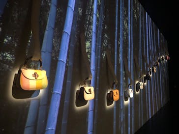 GUCCI COSMOSに投稿された画像（2024/11/15）