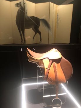 GUCCI COSMOSに投稿された画像（2024/11/15）