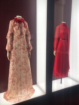 GUCCI COSMOSに投稿された画像（2024/11/15）