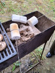 トクリン　こんどうちゃんきのこ農園に投稿された画像（2024/11/15）