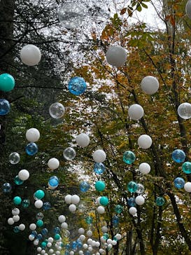 ムーミンバレーパークに投稿された画像（2024/11/15）