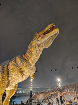 福井県立恐竜博物館に投稿された画像（2024/11/15）