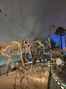 福井県立恐竜博物館に投稿された画像（2024/11/15）