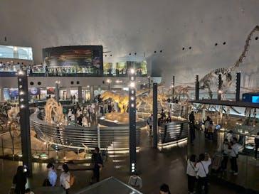 福井県立恐竜博物館に投稿された画像（2024/11/15）