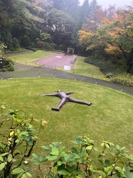 彫刻の森美術館に投稿された画像（2024/11/15）