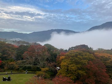 彫刻の森美術館に投稿された画像（2024/11/15）