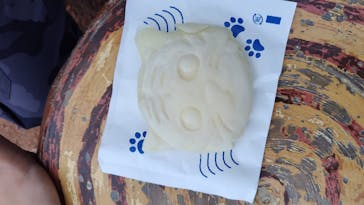 東武動物公園に投稿された画像（2024/11/15）