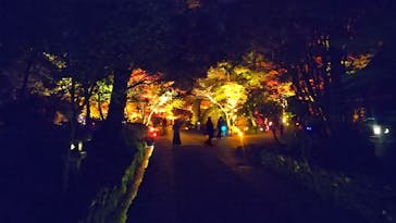 NAKED夜さんぽ™ 石川・那谷寺に投稿された画像（2024/11/15）